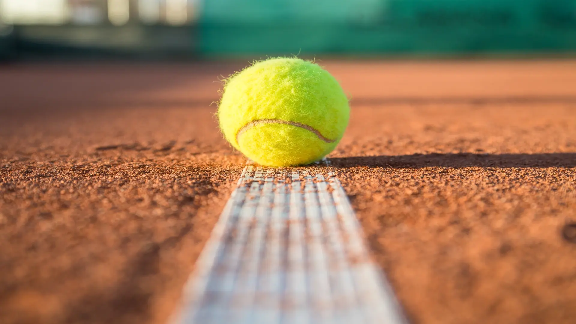 Close-up of a tennis ball resting on a court ground.